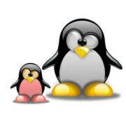 -bebe-tux-et-papa-tux-8512.png