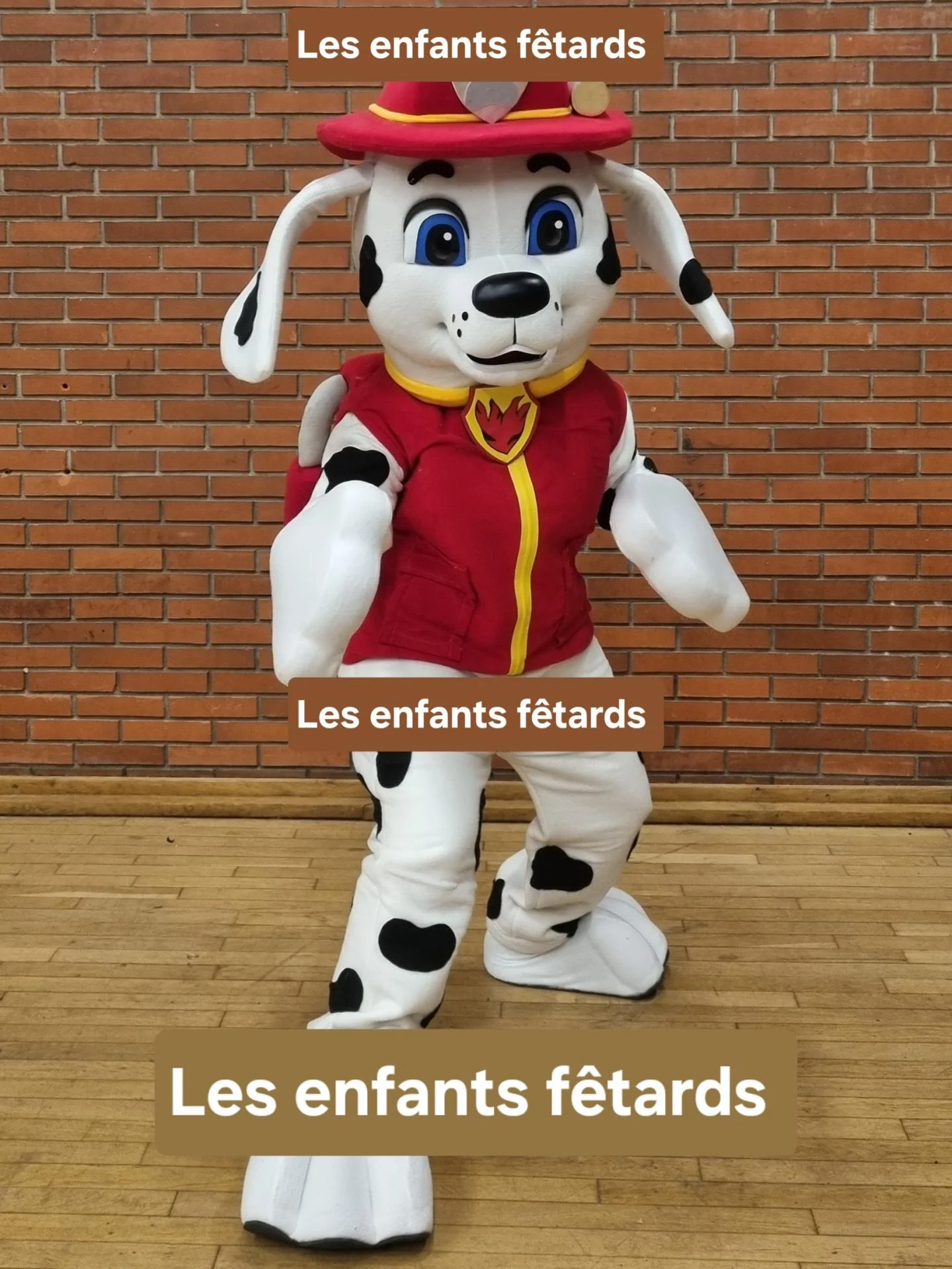 Marcus 60 lef